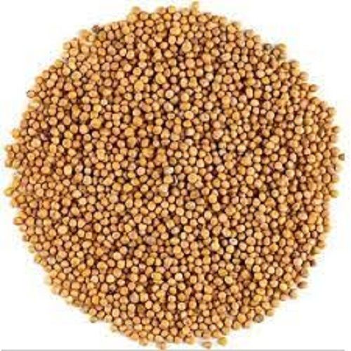 Free From Impurities No Artificial Color Rich Aroma Yellow Mustard Seeds