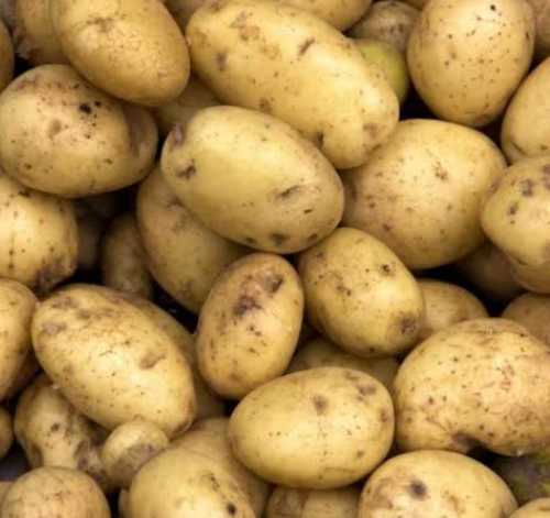 Good For Health Organic Farm Fresh Potato