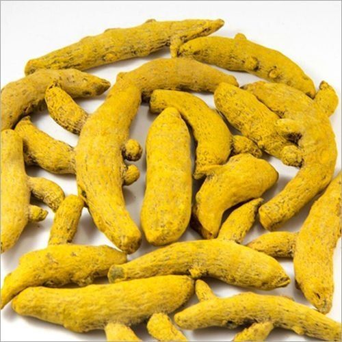 High Nutritional Value Antioxidant No Artificial Color Rich Aroma Yellow Organic Turmeric Finger Grade: A