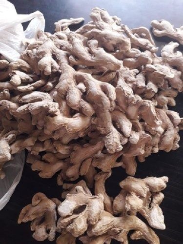 Light Brown Color Natural And Organic Dry Ginger With High Nutritious Values