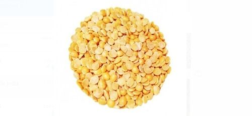 Rich In Taste, 100% Organic And Natural Yellow Color Chana Dal For Cooking 