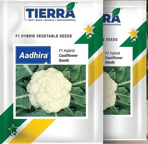 Hybrid Aadhira Cauliflower Seeds Pack Of 50g For Agriculture Uses