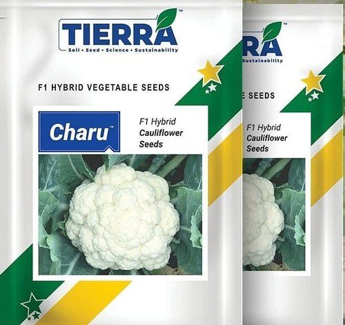 Hybrid Charu Cauliflower Seeds Pack Of 10 G For Agriculture Uses
