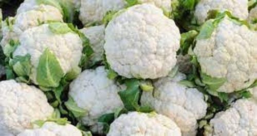  100% Natural And Healthy, No Artificial Color Fresh Green Cauliflower For Cooking