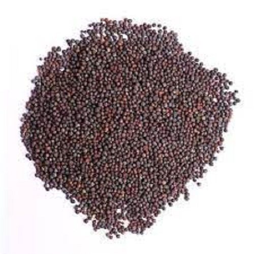  100% Purity Natural Pure And Organic Brown Mustard Seeds For Oil, Cooking Admixture (%): 1%.