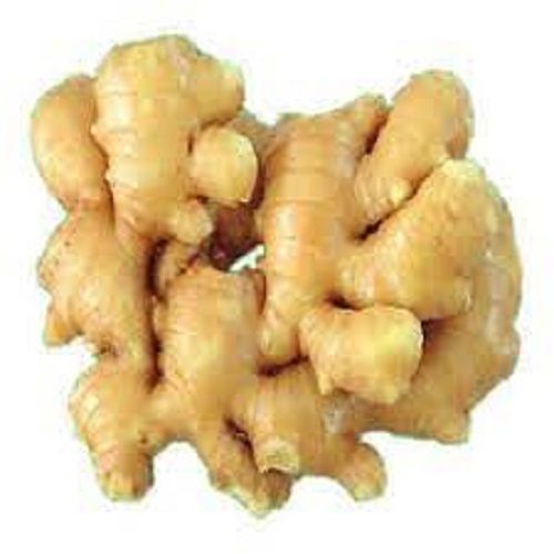 100 Percent Natural And Healthy Fresh Brown Ginger Enriched With Iron And Sodium