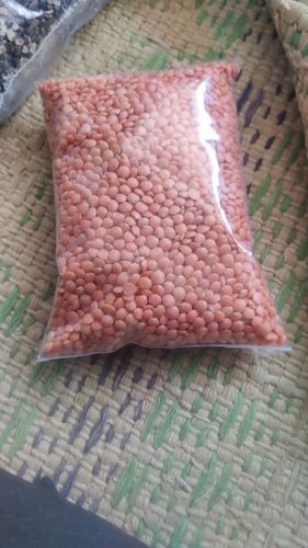 100% Vegan Gluten Free Unpolished Rich In Proteins Premium Quality Red Masoor Dal 