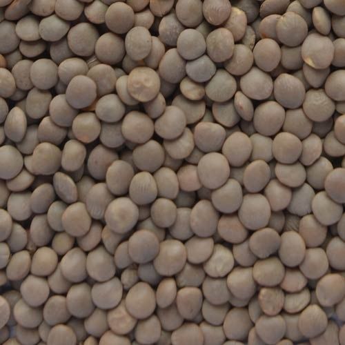 99% Pure Organic Nutritious Enriched Unpolished Brown Fresh Masoor Dal 