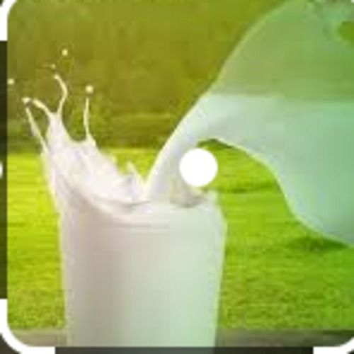 अच्छे स्वास्थ्य के लिए उच्च पौष्टिक मूल्य और स्वाद वाला ताजा देसी गाय का दूध