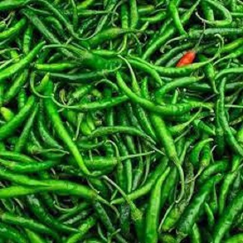 Fresh Green Chilli For Cooking, Good Source Of Vitamin B6, C, Iron And Potassium