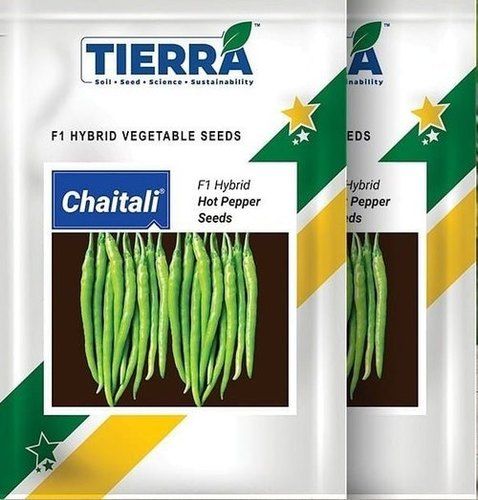 Hybrid Chaitali Hot Pepper Seeds Pack Of 10g For Agriculture Uses