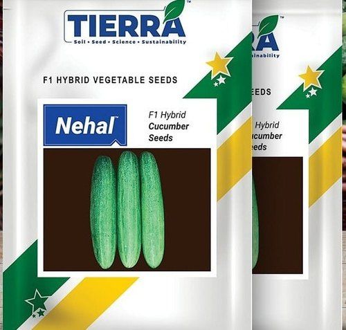 Common Hybrid Nehal Cucumber Seeds Pack Of 25G For Agriculture Uses