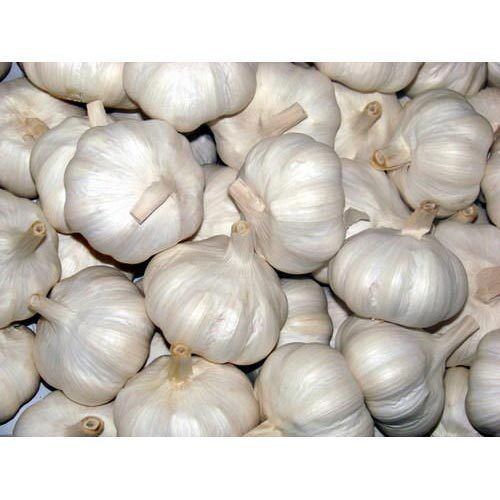 White Colour Natural Farm Fresh Garlic With 2 Months Shelf Life and Rich in Health Benefits