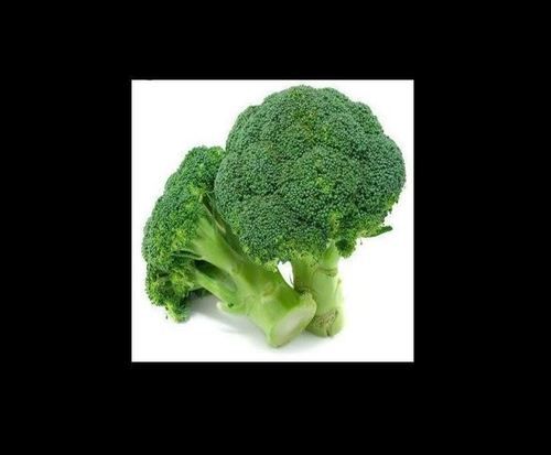 100% Fresh And Organic Green Color Tree Shape Broccoli Vegetables