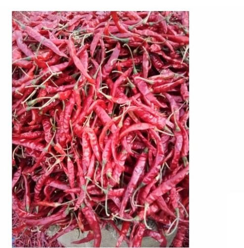 100% Natural And Pure Dried Teja Red Chilli For Cooking, Pack Of 1 Kg