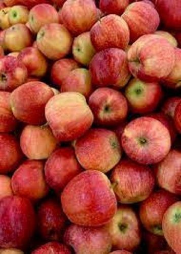 100 Percent Natural Fresh Healthy Apple Enriched With High Fiber And Vitamin C