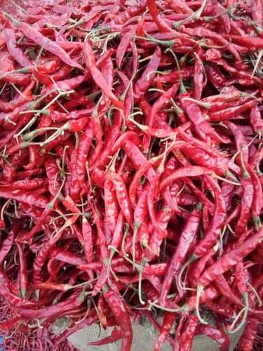 Kashmiri Dry Red Chilli, 25 Kg at Rs 80/kg in Vadodara