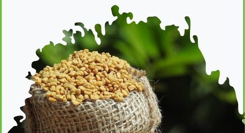 Free From Chemicals Improves Digestion Dried Fenugreek Seeds For Cooking