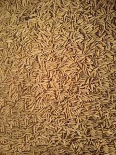 100 Percent Natural Brown Paddy Basmati Rice Seeds For Agriculture Purpose