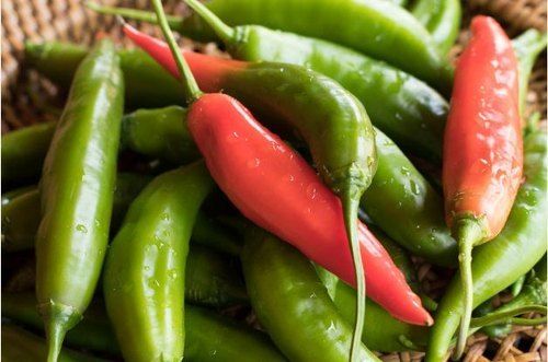 Red And Green Spicy Taste Fresh Chili Seeds Contain Capsaicin Help In Losing Weight