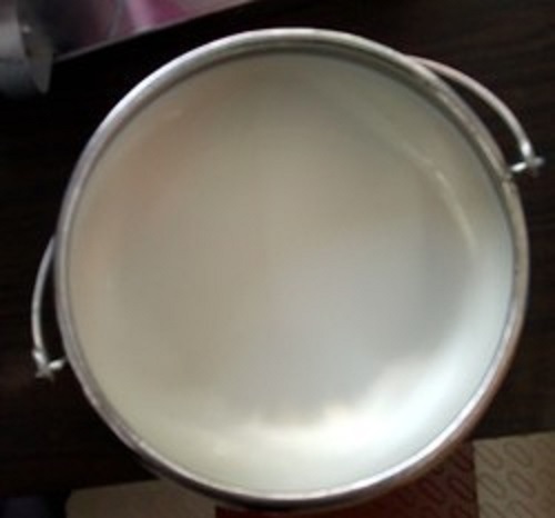 100% शुद्ध और प्राकृतिक स्वाद स्वस्थ ताजा सफेद गाय का दूध, कैल्शियम से भरपूर, फॉस्फोरस आयु समूह: बच्चे