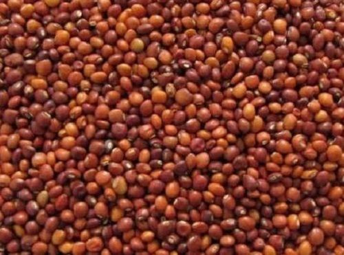 100% Pure Organic Highly Nutritent Enriched Unpolished Red Masoor Dal