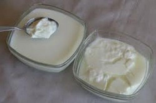 Rich In Calcium Low Fat Hygienically Packed No Additional Preservatives White Curd