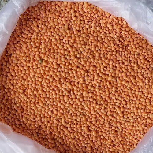 Rich in Protein Natural Taste Healthy Dried Red Organic Masoor Dal