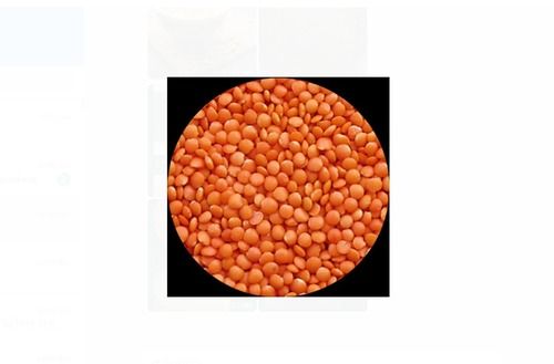100 Gram, Organic Whole Red Masoor Dal, High In Protein, Round Shape