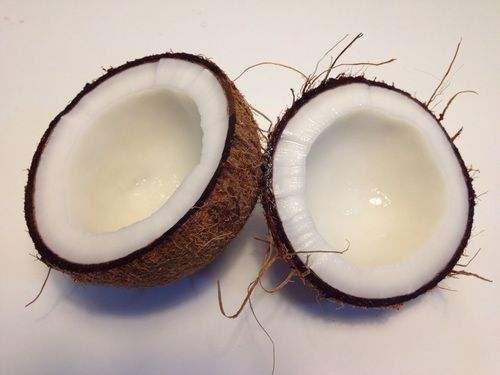 10mm White Round Mature Dried Coconut For Extracting Coconut Oil