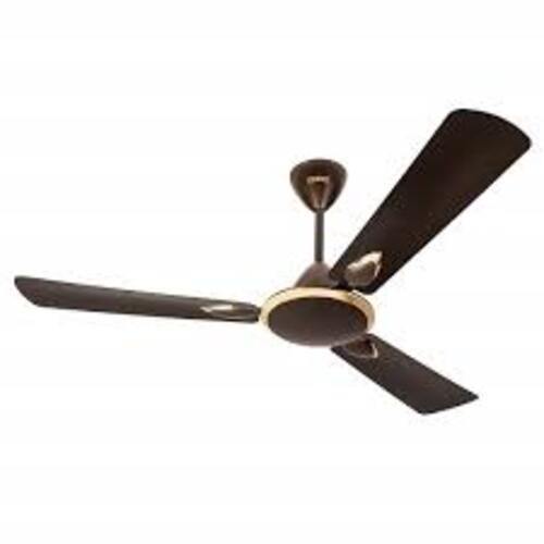 High Trend Celing Fans Striker Plain Ceiling Fan