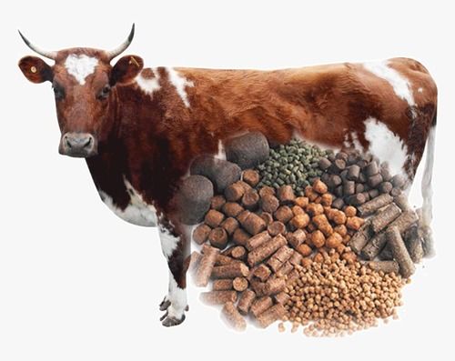 Natura Dried Brown Mixed Cattle Feed Food Grade For Animal