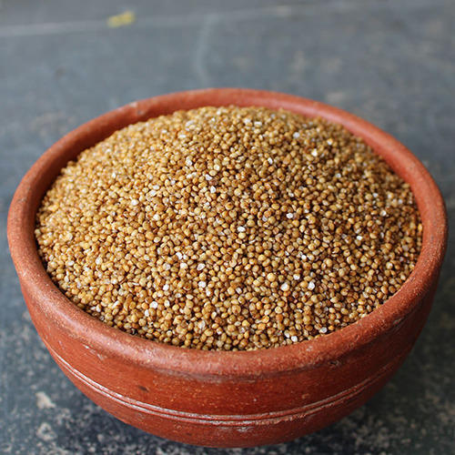 Purity 100 Percent Healthy Natural Rich Fine Taste Fresh Organic Foxtail Millet