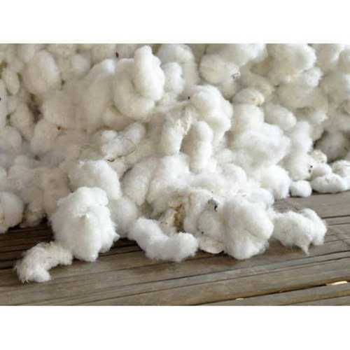 Shrink-Resistant Raw Cotton For Textile Industry Usage, White Color And Shrink Resistance