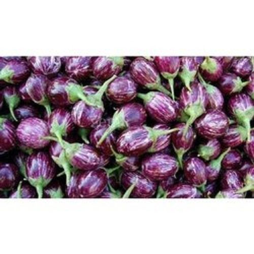 100% Organic And Farm Fresh A Grade Purple Color Healthy Brinjal For Cooking