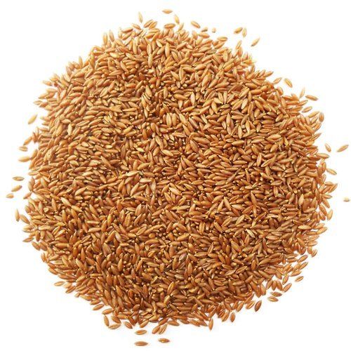 Dried And Natural Brown Color Bamboo Rice, Rich Source Of Dietary Fiber