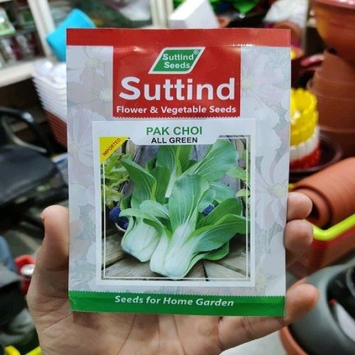  Organic Fresh Green Suttind Pak Choi Seeds Without Pesticides Or Chemicals