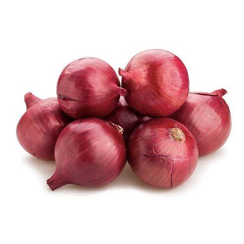 100% Organic And Farm Fresh A Grade Premium Quality Red Color Onion