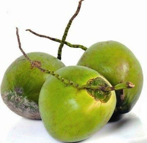 100% Organic And Farm Fresh Green Color Tender Coconut, Rich In Dietary Fiber