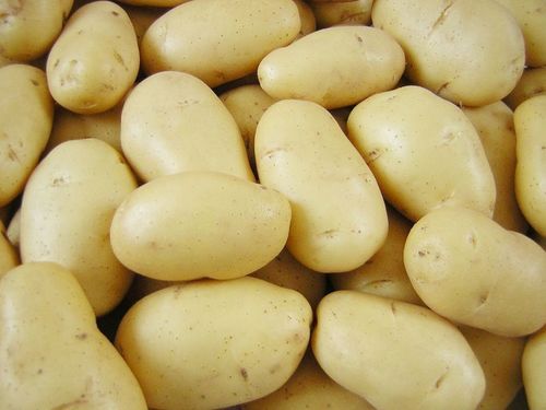 Chemical Free Fresh Organic Potato