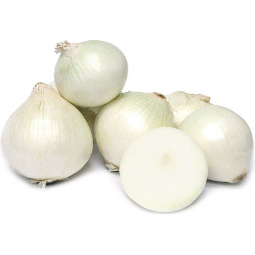 Fresh And Organic White Onion With 3 Days Shelf Life And Rich In Vitamain C