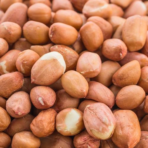 Fresh Superior Quality Highly Nutritious Healthy Tasty Unpolished Whole Raw Peanuts