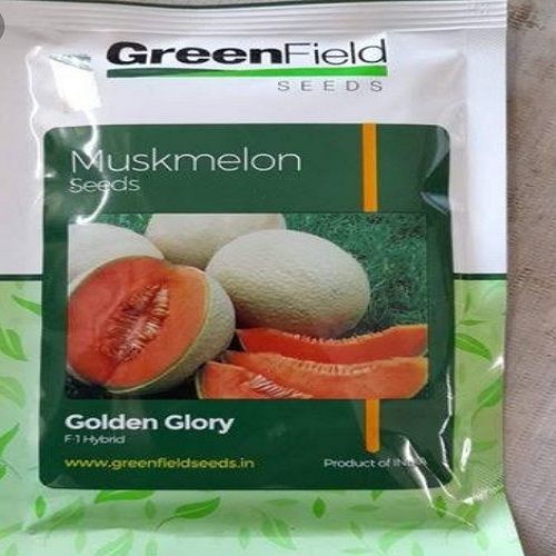 Goodness Of Minerals Natural Cultivated Hybrid Green Muskmelon Seeds 