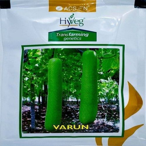 Green Rich In Vitamins Minerals And Antioxidants Hyveg Varun Hybrid Bottle Gourd Seeds