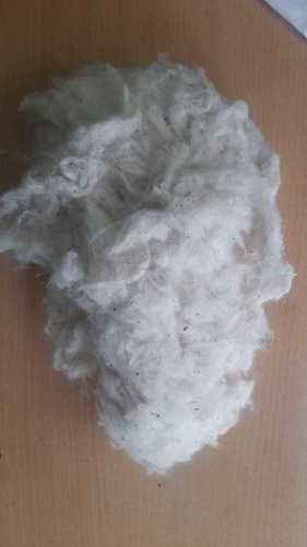 100 Percent Raw Cotton White Flat Yarn Cotton Noil For Medical And Personal Care Use
