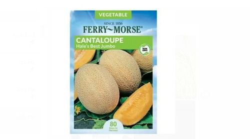 Best Ferry Morse Cantaloupe Hale Jumbo Use For Vegetable, 100 Gram Pack