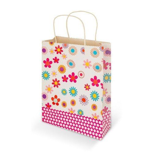 Easy and Convenient Multi Color Art Paper Carry Bags, Perfect for Carrying Art Supplies and Cosmetics