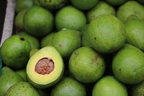 Top Grade Fresh Avocado Origin: South Africa