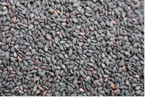 A Grade And Pure Black Color Sesame Seeds With High Nutritious Values