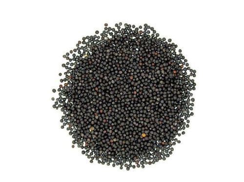 A Grade Organic Black Color Mustard Seeds With High Nutritious Values Weight: 1  Kilograms (Kg)